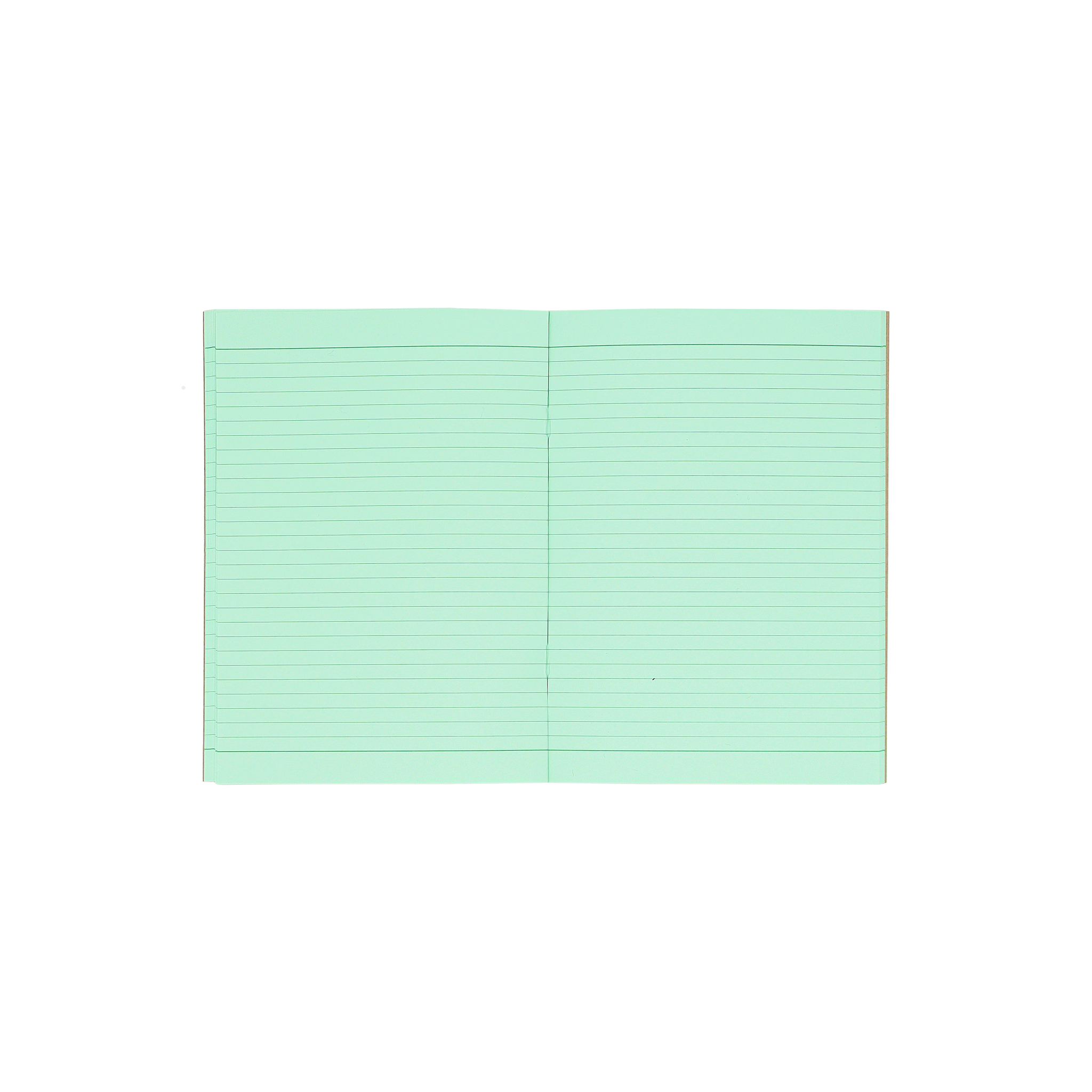 Socolo notebook, open showing its green paper pages, lined with green ink. 